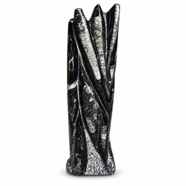 Orthoceras Fossil Tower | Black Fossil Display Stone