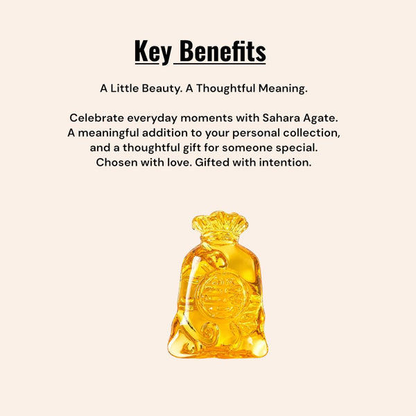 Feng Shui Money Bag for Wealth & Prosperity