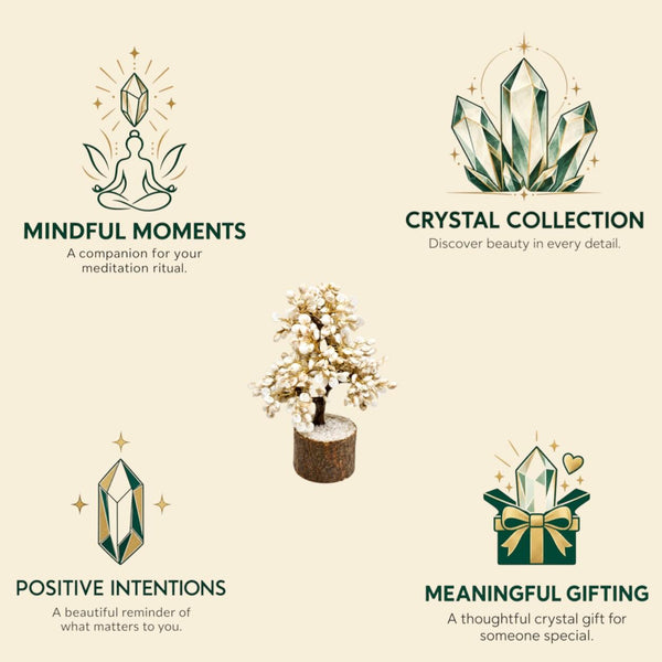 Gomti Chakra Tree with 500 Chakras | Decorative Vastu Tree for Home & Office