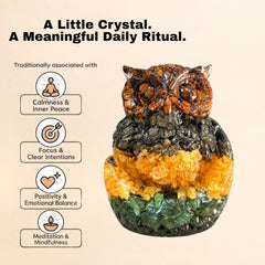 Money Magnet Orgonite Owl – Wealth Attraction & Wisdom Feng Shui Vastu Showpiece
