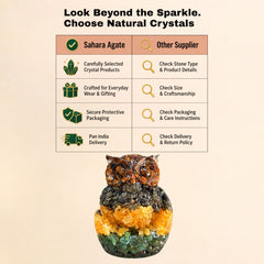 Money Magnet Orgonite Owl – Wealth Attraction & Wisdom Feng Shui Vastu Showpiece