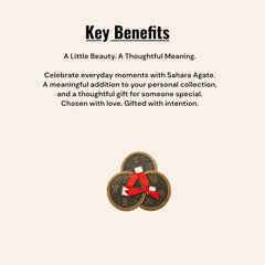 Feng Shui Lucky Coin | Traditional Prosperity Symbol for Home & Office