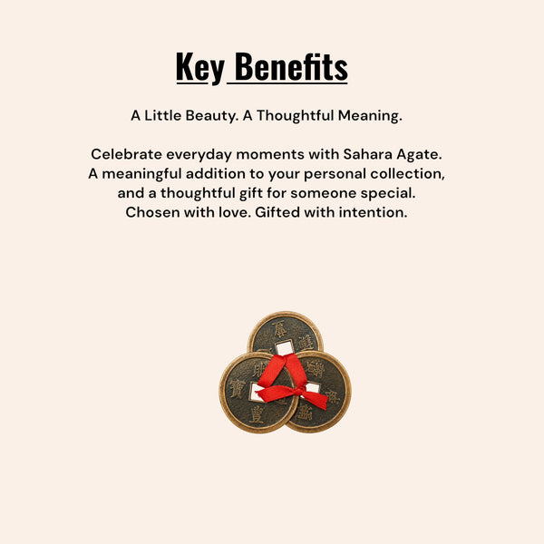 Feng Shui Lucky Coin | Traditional Prosperity Symbol for Home & Office