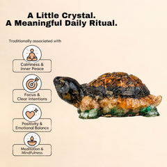 Money Magnet Tortoise – Feng Shui Vastu Crystal Turtle for Wealth & Financial Stability