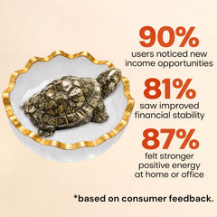 Pyrite Tortoise in Selenite Bowl Combo – Wealth Attraction & Cleansing Feng Shui Set