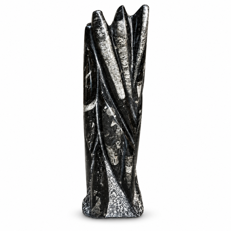 Orthoceras Fossil Tower | Black Fossil Display Stone