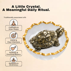Pyrite Tortoise in Selenite Bowl Combo – Wealth Attraction & Cleansing Feng Shui Set