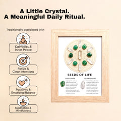Seeds of Life Crystal Grid Framed Art
