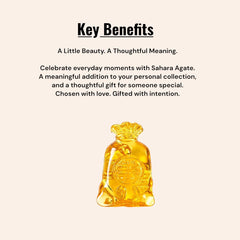 Feng Shui Money Bag for Wealth & Prosperity