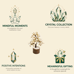 Gomti Chakra Tree with 500 Chakras | Decorative Vastu Tree for Home & Office